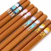 Natural wooden chopstick set, eco-friendly and durable tableware, portable for home use, essential for restaurant tables Application Scenario